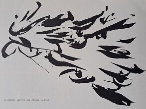 Christian Dotremont. Illisible lumière qui dénude la nuit (1975).
